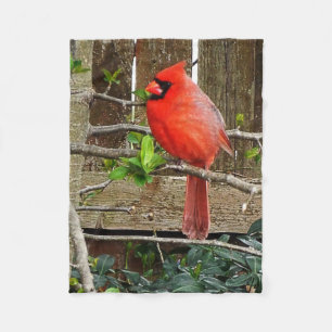 cardinal fleece blanket