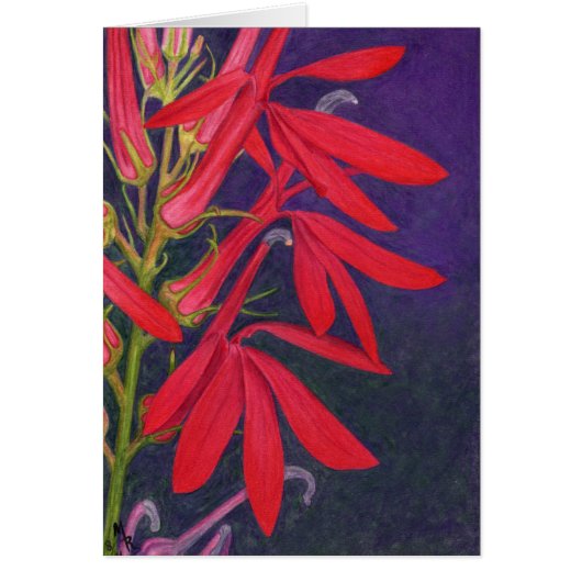 Cardinal Flower Art Card (Front)