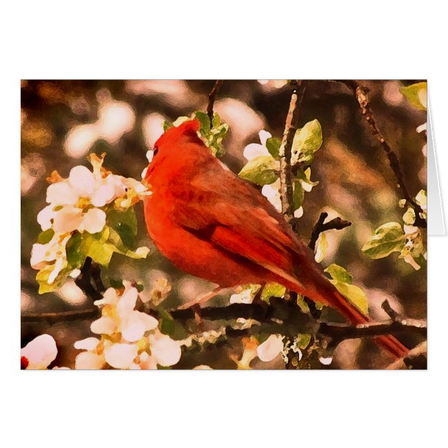 Cardinal for Mothers Day