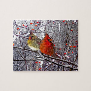 Cardinal Forest Puzzle