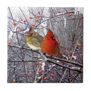 Cardinal Forest Tile