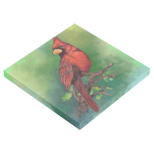 Cardinal Gallery Wrap