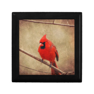 Cardinal Gift Box