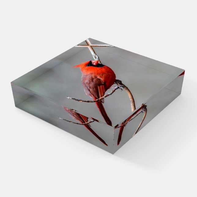 Cardinal Glass Paperweight (Angled)