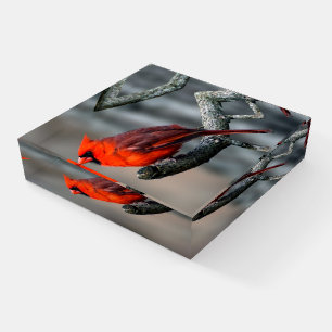 Cardinal Glass Paperweight