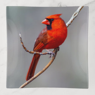 Cardinal Glass Trinket Tray