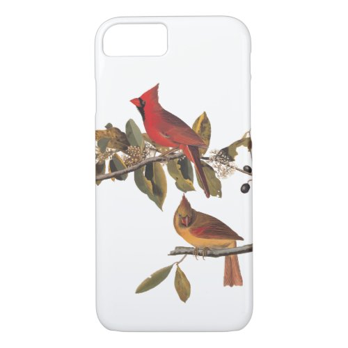 Cardinal Grosbeak Audubon Bird Vintage Art iPhone 87 Case