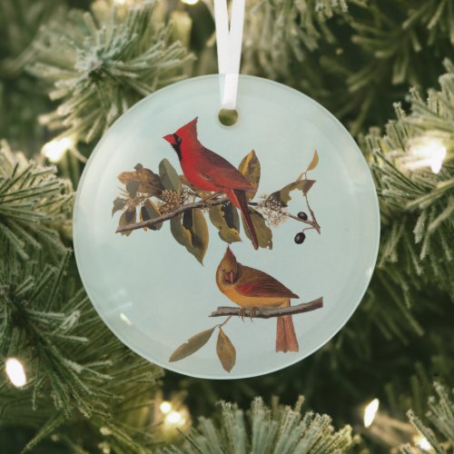 Cardinal Grosbeak Audubon Birds of America Glass Ornament