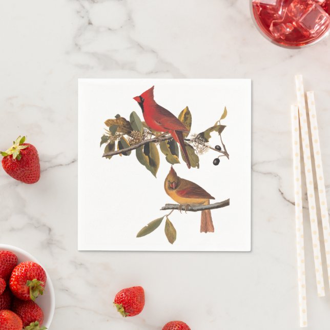 Cardinal Grosbeak Audubon Birds of America Napkins (Insitu)