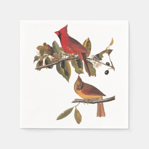 Cardinal Grosbeak Audubon Birds of America Napkins