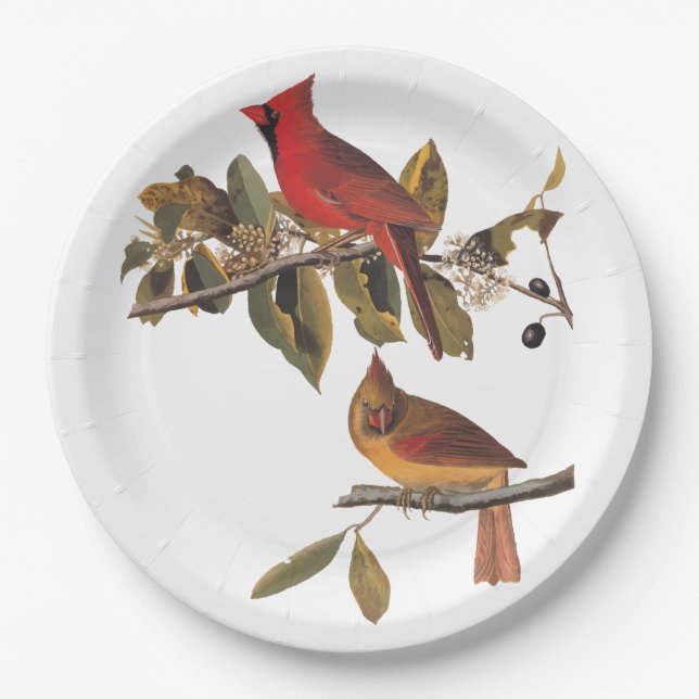 Cardinal Grosbeak Audubon Birds of America Paper Plates (Front)