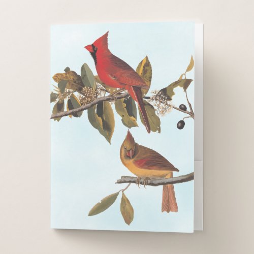 Cardinal Grosbeak Audubon Birds of America Pocket Folder