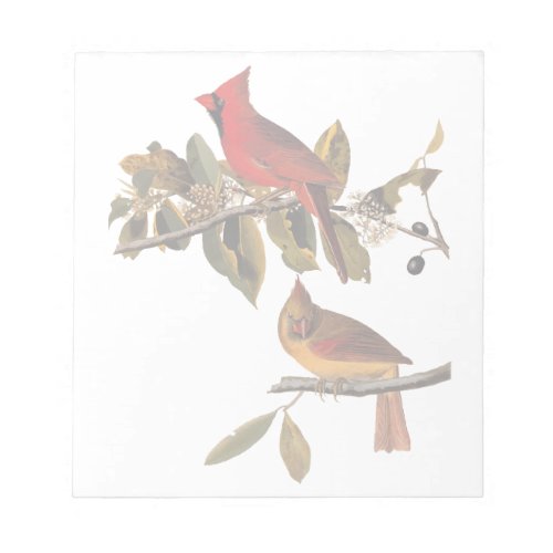 Cardinal Grosbeak Bird Pair Audubon Vintage Art Notepad