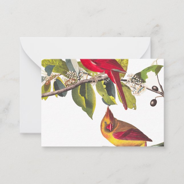 Cardinal Grosbeak by John James Audubon Note Card (Front)