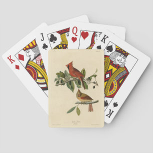 Cardinal Grosbeak from Audubon's Birds of America Poker Cards