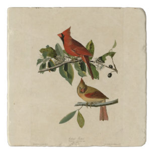 Cardinal Grosbeak from Audubon's Birds of America Trivet