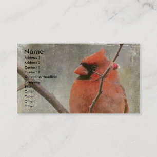 Cardinal Grunge Business Card