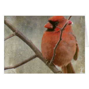 Cardinal Grunge Cards