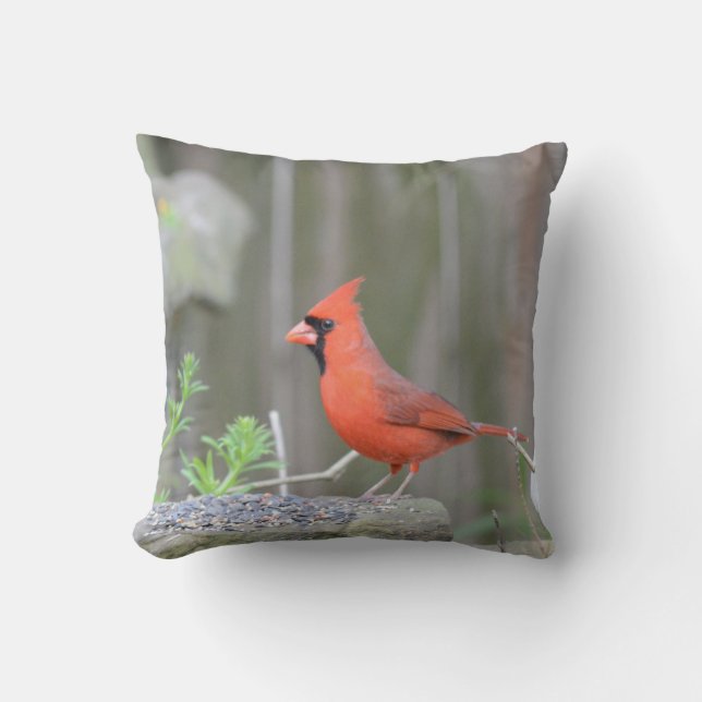 Cardinal guarding its stash! throw pillow (Front)