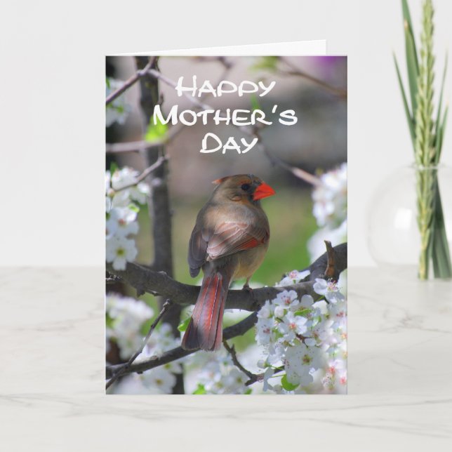 Cardinal Happy Mother's Day Card (Front)