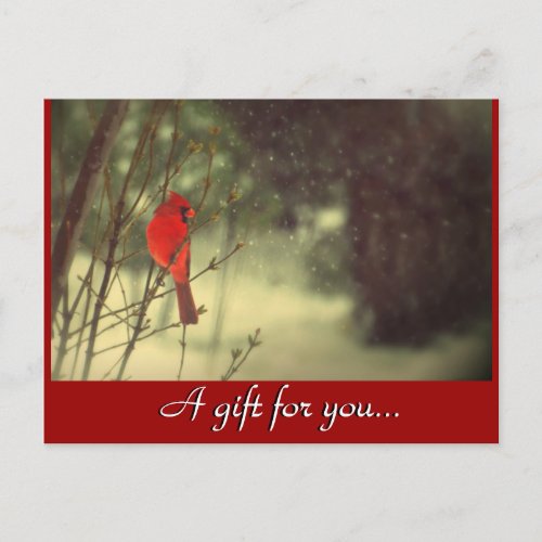 Cardinal Holiday Gift Certificate Postcard