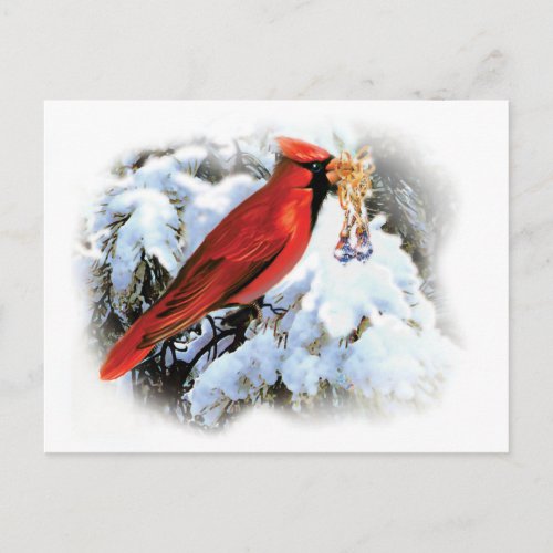 Cardinal Holiday Postcard