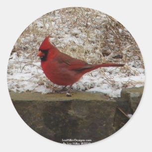 Cardinal Hot Springs Nat. Park Mountain AR Gifts Classic Round Sticker