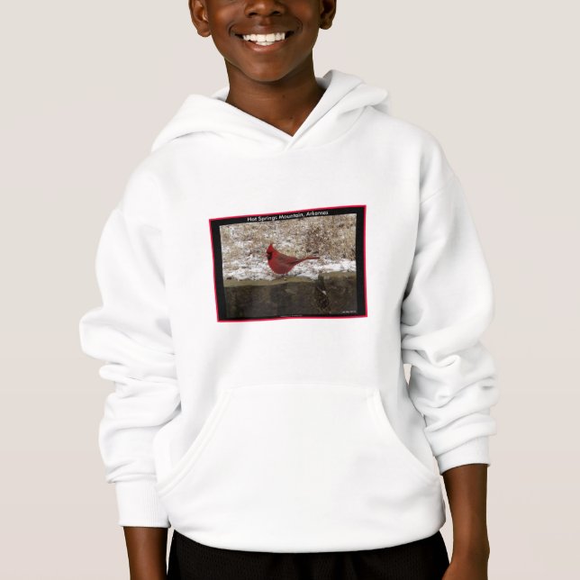 Cardinal Hot Springs Nat. Park Mountain AR Gifts Hoodie (Front)