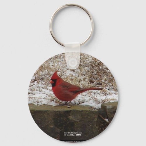 Cardinal Hot Springs Nat Park Mountain AR Gifts Keychain