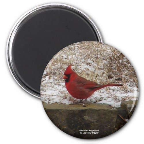 Cardinal Hot Springs Nat Park Mountain AR Gifts Magnet