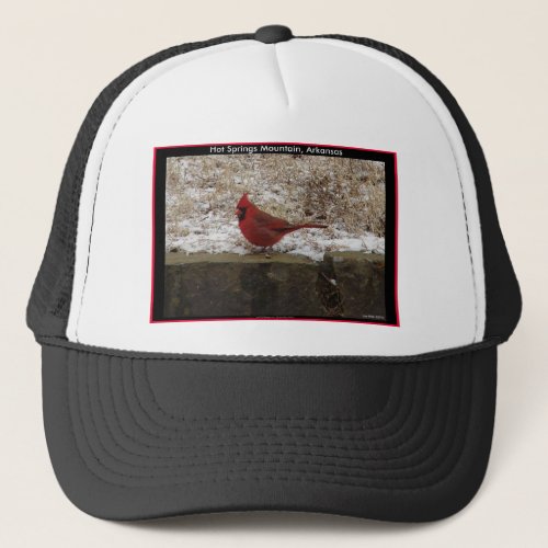 Cardinal Hot Springs Nat Park Mountain AR Gifts Trucker Hat