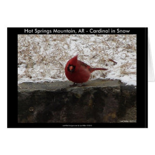 Cardinal Hot Springs Nat. Park Mt AR Gifts Apparel