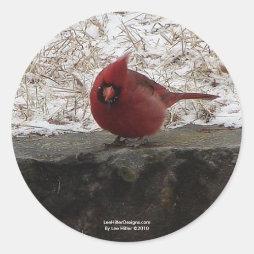 Cardinal Hot Springs Nat Park Mt AR Gifts Apparel Classic Round Sticker