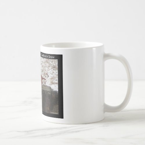 Cardinal Hot Springs Nat Park Mt AR Gifts Apparel Coffee Mug