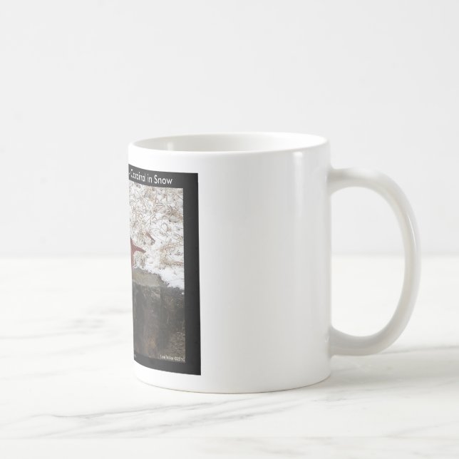 Cardinal Hot Springs Nat. Park Mt AR Gifts Apparel Coffee Mug (Right)