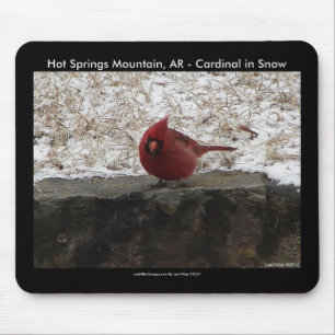Cardinal Hot Springs Nat. Park Mt AR Gifts Apparel Mouse Pad