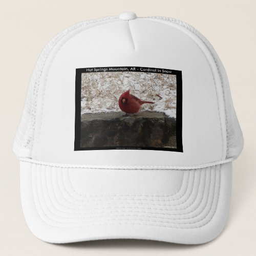 Cardinal Hot Springs Nat Park Mt AR Gifts Apparel Trucker Hat
