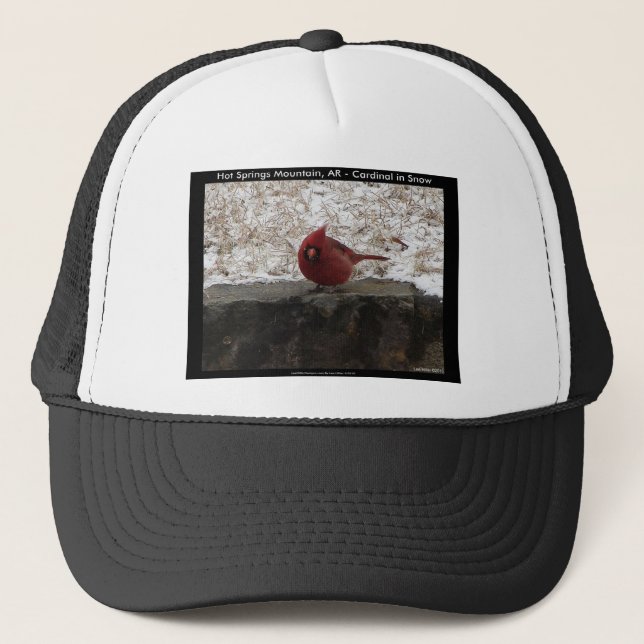 Cardinal Hot Springs Nat. Park Mt AR Gifts Apparel Trucker Hat (Front)