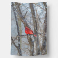 Louisville Cardinals House Flag Banner