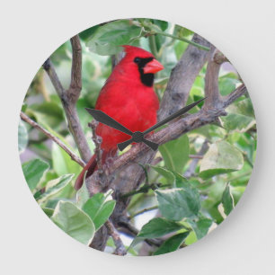 Cardinal in a Lemon Tree - Bird  - Wall Clock