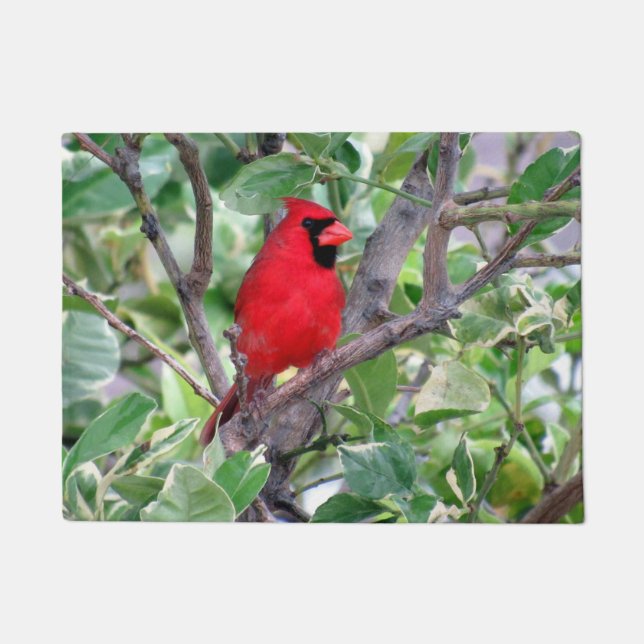 Cardinal in a Lemon Tree -  Doormat (Front)