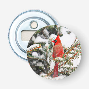 Cardinal in a pine tree bottle opener