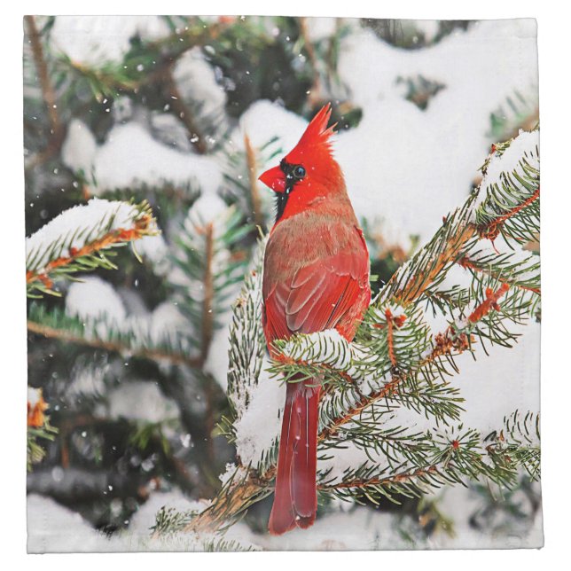 Cardinal in a pine tree cloth napkin (Front)