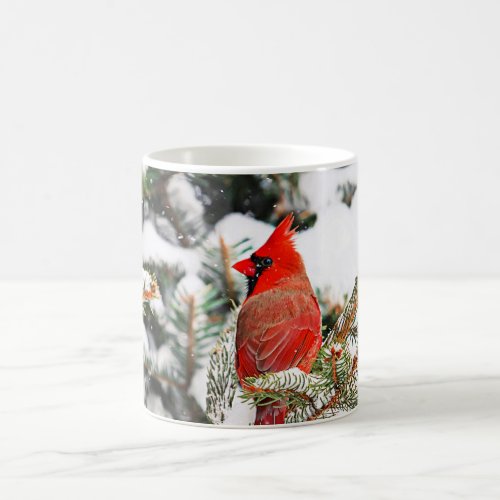 Cardinal in a pine tree coffee mug