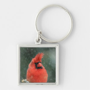 Cardinal in a pine tree during a snow storm keychain