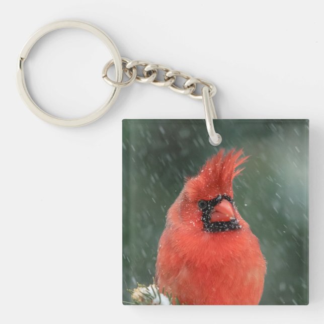 Cardinal in a pine tree during a snow storm keychain (Front)