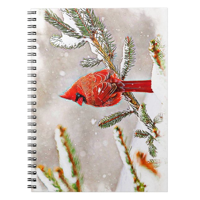 Cardinal in a pine tree in winter notebook (Front)