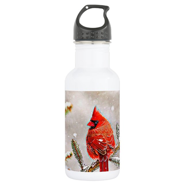 Cardinal in a pine tree in winter water bottle (Front)