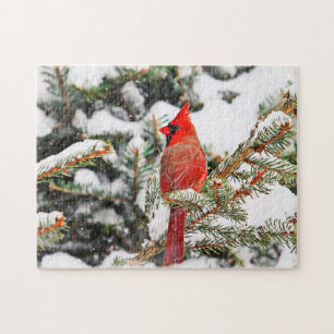 Cardinal in a pine tree jigsaw puzzle