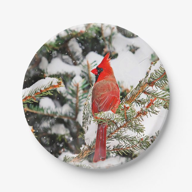 Cardinal in a pine tree paper plates (Front)